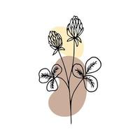 Hand gezeichnet Gliederung Blume im Gekritzel Stil mit abstrakt Farbe spritzt hinzugefügt. Illustration, Vektor