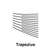 Trapez, Organ Vektor Symbol Illustration