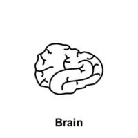 Gehirn, Organ Vektor Symbol Illustration