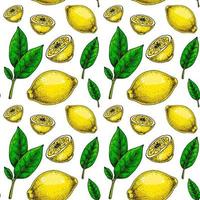 Zitrone nahtlos Muster. bunt Hand gezeichnet Vektor Illustration im skizzieren Stil. tropisch exotisch Zitrusfrüchte Obst Sommer- Hintergrund