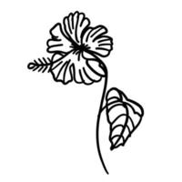 blomma i översikt klotter platt stil. enkel blommig element växt löv dekorativ design. hand dragen linje konst. kreativ minimalistisk skiss. vektor illustration isolerat på vit bakgrund.