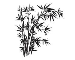 Bambus Baum, Hand gezeichnet Stil. Vektor. vektor