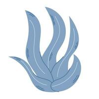 Blau Algen Blätter. botanisch Illustration von farbig Seetang. modern Hand gezeichnet eben Illustration auf Weiß Hintergrund. vektor