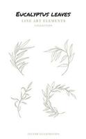 Eukalyptus Blätter Hand gezeichnet einer Linie Zeichnung. Blumen- Elemente Linie Kunst. Vektor Illustration