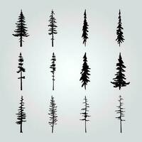 ein Sammlung von Kiefer Bäume mit anders Formen und Größen. vektor