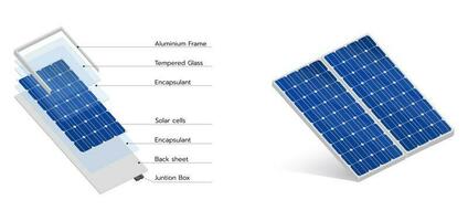 Graf som visar delar av en sol- panel med deras namn. konstruktion av sol- paneler förnybar energi. vektor illustration