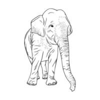 Elefant isoliert auf Weiß Hintergrund. realistisch Gliederung Elefant. Vektor Illustration