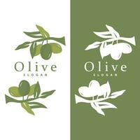 Olive Öl Logo, Olive Blatt Pflanze Kräuter- Garten Vektor, einfach elegant luxuriös Symbol Design Vorlage Illustration vektor