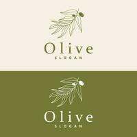 Olive Öl Logo, Olive Blatt Pflanze Kräuter- Garten Vektor, einfach elegant luxuriös Symbol Design Vorlage Illustration vektor