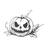 vektor hand dragen halloween illustration. detaljerad retro stil ritad för hand skrämmande pumpa skiss isolerat på vit bakgrund. årgång skiss element för etiketter, förpackning och kort design.