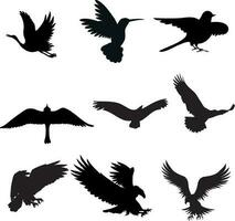 uppsättning av differents fåglar silhuett vektor illustration