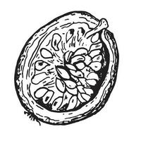 passionen frukt illustration isolerat på vit bakgrund. halv frukt, bit av maracuya vektor hand ritade. design element för omslag, meny, marknadsföra, ört- te, glass, klistermärken, servis.