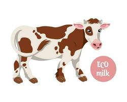 süß entdeckt Kuh mit das Wort Öko Milch. Illustration im eben Stil, Vektor
