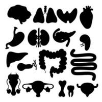 Sammlung medizinisch Organe Silhouetten. Mensch intern Organe. Vektor Illustration. Anatomie Konzept. isoliert Grafik Zeichnungen Silhouetten zum Design, Dekor.