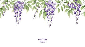 sömlös gräns av lila blåregn blommor och grön löv på en vit bakgrund. bakgrund design. design av affischer, vykort. vektor illustration