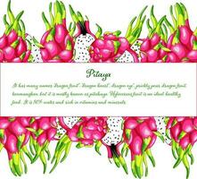 gott drake frukt ram. organisk Pitaya design element. exotisk rosa pitahaya vektor illustration. utsökt kaktus bitar av vitaminer