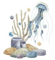 manet med korall rev och havsbotten på isolerat bakgrund. hand dragen vattenfärg illustration av gelé fisk och hav golv för ikon eller logotyp. under vattnet teckning i blå och beige färger med medusa vektor