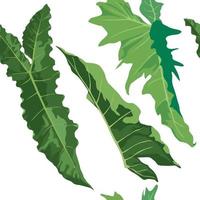 grönska blad mönster illustration grafisk vektor