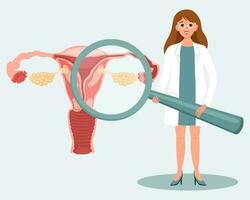 kvinna läkare med förstorande glas och kvinna livmoder. medicinsk diagnos av de mänsklig reproduktiv systemet, sjukvård begrepp. illustration, vektor