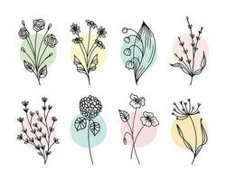 Hand gezeichnet Gliederung Blumen, Satz. skizzieren, botanisch Symbole, Vektor