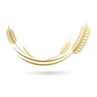 spikelets av vete, råg, korn. gyllene ikon, elegant design, vektor