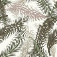 Blätter von Palme Baum. nahtlos Muster. Vektor Hintergrund. Wald exotisch Illustration drucken auf Weiß