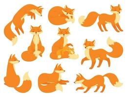 tecknad serie röd rävar Sammanträde eller sovande, vilda djur och växter skog djur. söt bebis räv med mor, skog djur- maskot i annorlunda poser vektor uppsättning