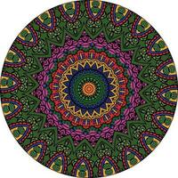 färgrik mandalas för färg bok. dekorativ runda ornament. ovanlig blomma form. orientalisk. anti-stress terapi mönster. väva design element. vektor