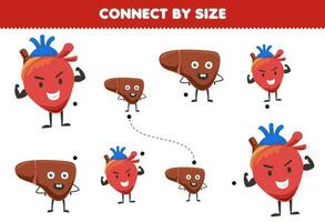 lehrreich Spiel zum Kinder verbinden durch das Größe von süß Karikatur Herz und Leber druckbar Anatomie Arbeitsblatt vektor