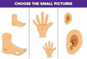 Bildung Spiel zum Kinder wählen das klein Bild von süß Karikatur Fuß Hand und Ohr druckbar Anatomie Arbeitsblatt vektor