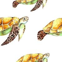 nahtlos Vektor Aquarell Schildkröten Muster. Tiere Illustration zum Kinder Zimmer und Hintergrund, Hintergrund.