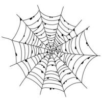 skrämmande Spindel webb isolerat. läskigt halloween dekoration. översikt spindelnät illustration vektor