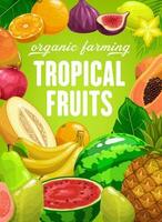 tropisch Früchte Vektor Landwirtschaft Karikatur Poster