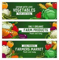grönsaker vektor banderoller, bruka mat, rå grönsaker