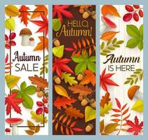 Hallo Herbst und fallen saisonal Verkauf Vektor Banner