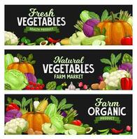 grönsaker banderoller, bruka marknadsföra mat grönsaker vektor
