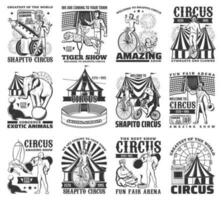 groß oben Zirkus Aufführungen graviert Vektor Symbole
