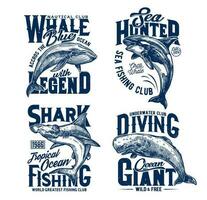 T-Shirt druckt mit Hai, Mörder und Blau Wale vektor