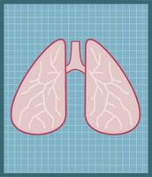 medicinsk tester och diagnos. problem andas och lungorna. inre mänsklig organ. röntgen och Foto bild på en blå ark. element av sjukhus och medicinsk vård. tecknad serie platt illustration vektor