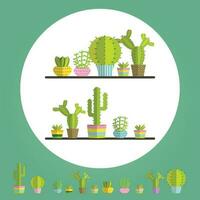 ein saftig Pflanzen und Kaktus vektor