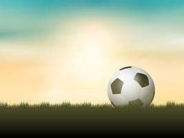 Fotboll eller fotboll som ligger i gräset vektor