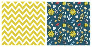 einstellen von nahtlos Muster mit Hand gezeichnet wild Blumen und Chevron Muster auf isoliert Hintergrund. Design zum Mütter Tag, Ostern, Frühling und Sommer Feier, Scrapbooking. vektor