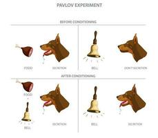 Pawlows Hund Experiment zeigte Wie Hunde könnte Sein konditioniert zu assoziieren ein neutral Stimulus mit ein Reflex Antwort vektor