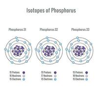 Isotope von Phosphor Atom Vektor Illustration