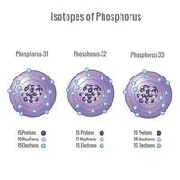 isotoper av fosfor atom 3d vektor illustration