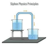 Siphon Physik Prinzipien Vektor Illustration