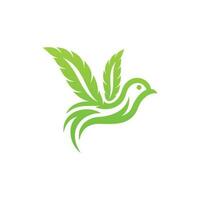 fliegend Vogel Cannabis Blatt kreativ Logo Design vektor