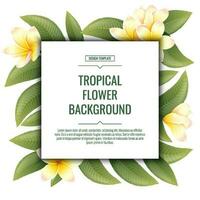 Platz Hintergrund mit Plumeria Blumen. tropisch Frangipani Pflanze. Banner, Poster, Flyer, Postkarte. Sommer- Illustration. vektor