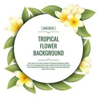 Platz Hintergrund mit Plumeria Blumen. tropisch Frangipani Pflanze. Banner, Poster, Flyer, Postkarte. Sommer- Illustration. vektor