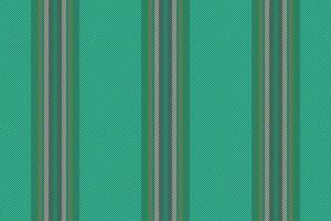 Linien nahtlos Streifen. Textil- Textur Vektor. Hintergrund Muster Stoff Vertikale. vektor